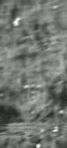 Moon Pattern 1