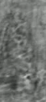 Moon Pattern 2
