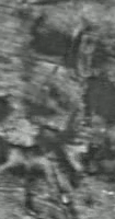 Rocky Landscapes Pattern