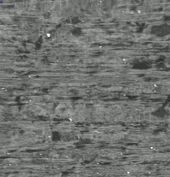 Output GIF from p3