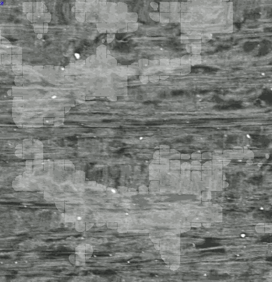 Output GIF from p4
